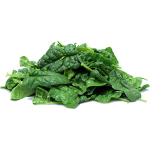 Spinach PNG-79139